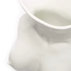 Jugs Jug (High-Shine White)